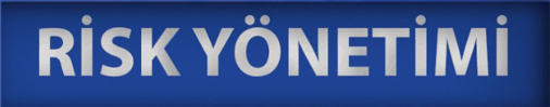 Risk Yönetimi